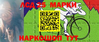шишки Нарткала