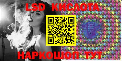 шишки Нарткала