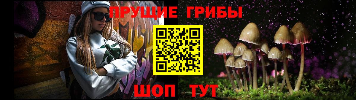 Псилоцибиновые грибы Psilocybe  Вход с VPN  Торжок 